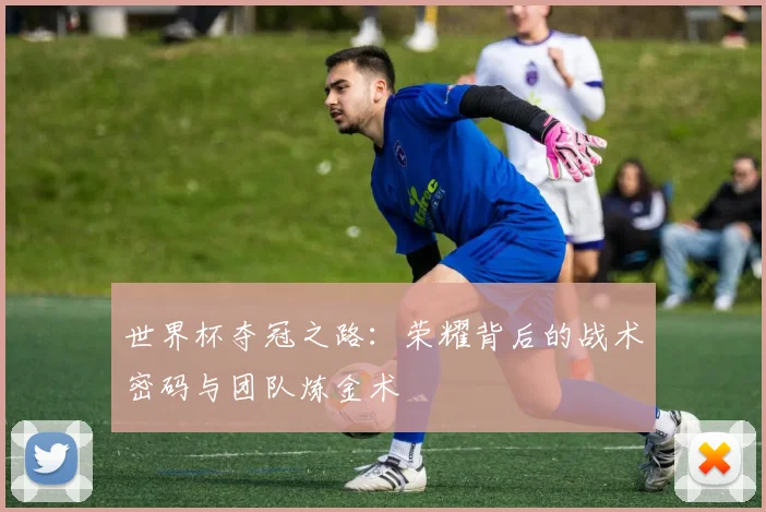 世界杯夺冠之路：荣耀背后的战术密码与团队炼金术