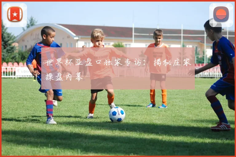 世界杯亚盘口独家专访：揭秘庄家操盘内幕