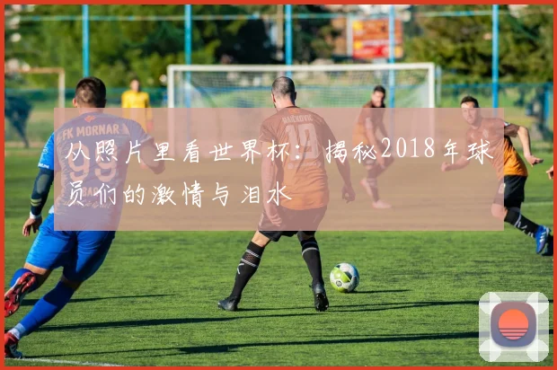 从照片里看世界杯：揭秘2018年球员们的激情与泪水