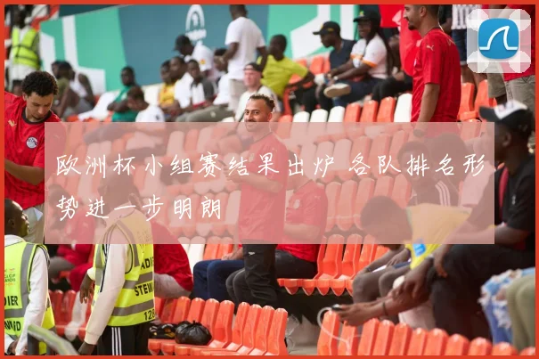欧洲杯小组赛结果出炉 各队排名形势进一步明朗