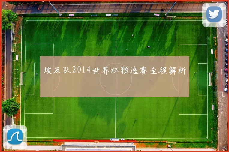 埃及队2014世界杯预选赛全程解析