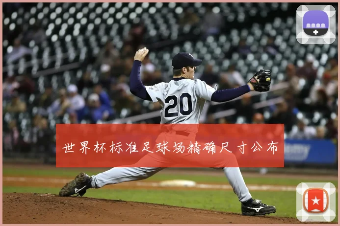 世界杯标准足球场精确尺寸公布