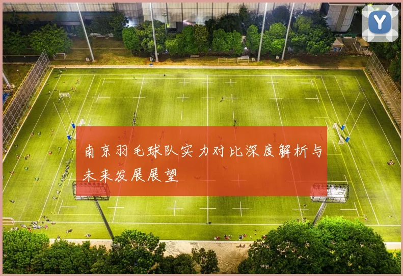 南京羽毛球队实力对比深度解析与未来发展展望