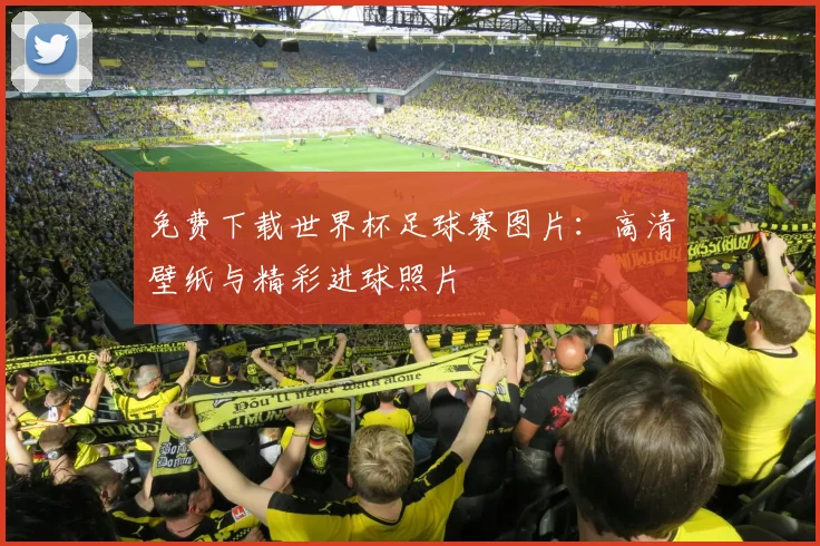 免费下载世界杯足球赛图片：高清壁纸与精彩进球照片