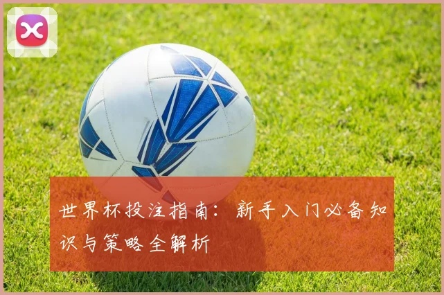 世界杯投注指南：新手入门必备知识与策略全解析