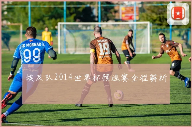 埃及队2014世界杯预选赛全程解析