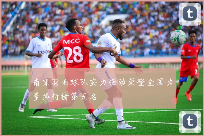 南京羽毛球队实力强劲荣登全国力量排行榜第五名