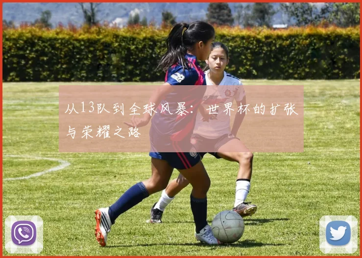 从13队到全球风暴：世界杯的扩张与荣耀之路