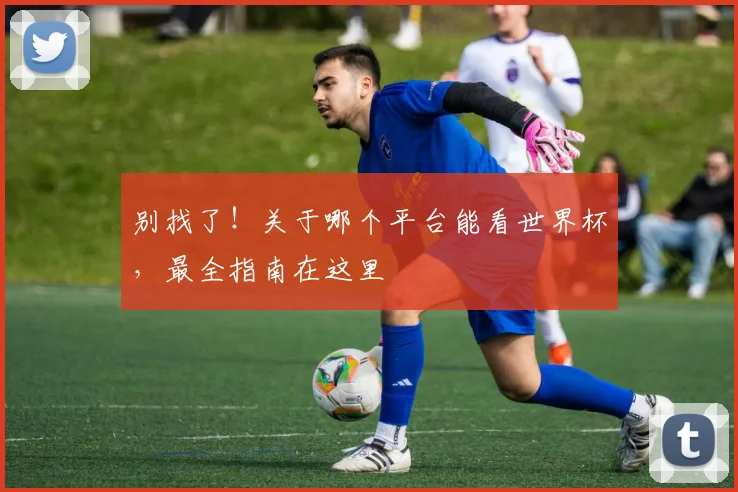 别找了！关于哪个平台能看世界杯，最全指南在这里