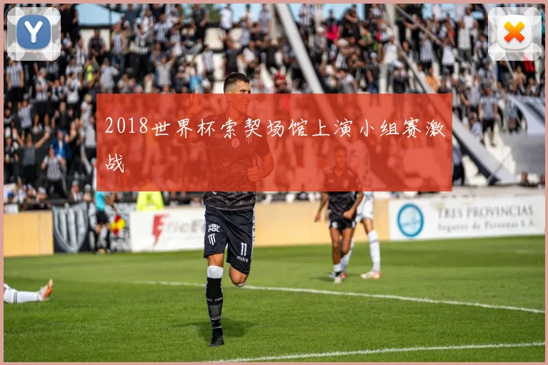 2018世界杯索契场馆上演小组赛激战