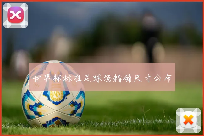 世界杯标准足球场精确尺寸公布
